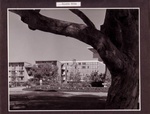 Revelle Resident Halls